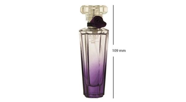 عطر جیبی زنانه نیش برند کالکشن مدل شماره 048 (No. 048) حجم 25 میلی لیتر - Image 3